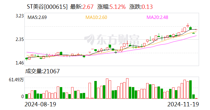 ST美谷收监管函：财务信息披露不准确致多项财务指标追溯调整  第1张