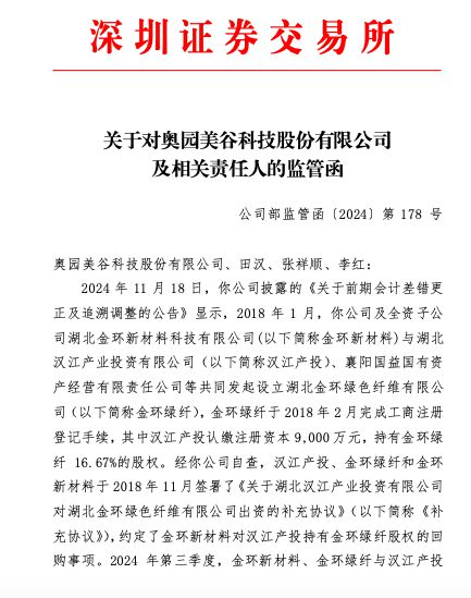 ST美谷收监管函：财务信息披露不准确致多项财务指标追溯调整  第2张