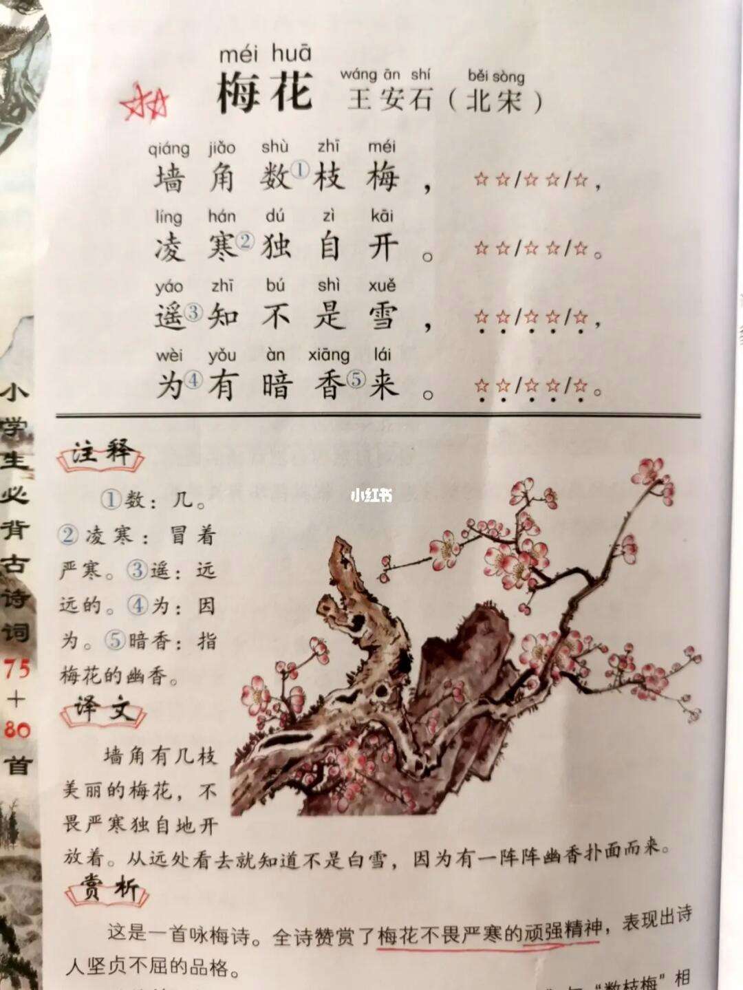 古诗词梅花(古诗词梅花朗诵视频)  第1张