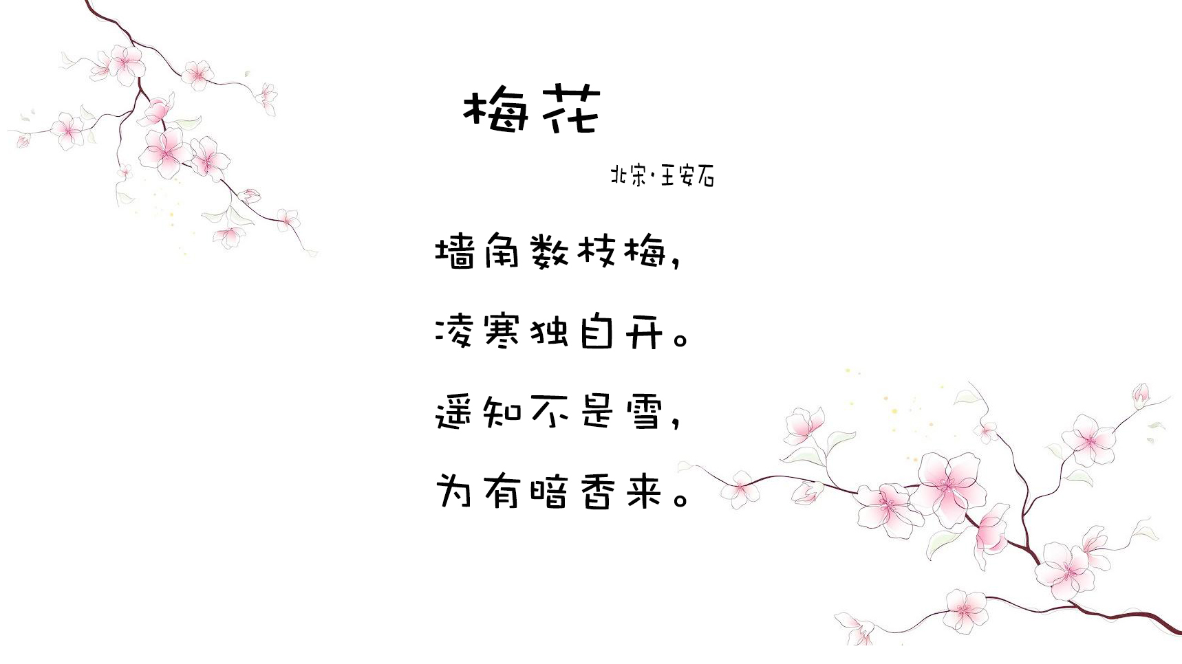 古诗梅花王安石(古诗梅花王安石的解释)  第1张