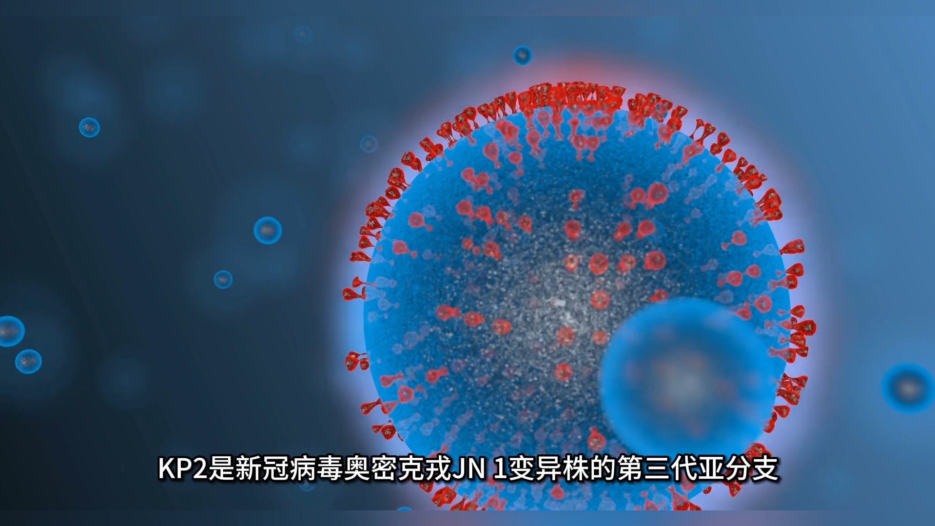 包含视频|张文宏解读为何觉得白肺变多了的词条  第1张