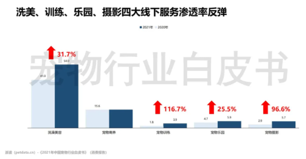 包含宠物行业能否成为朝云集团新增长曲线的词条  第2张