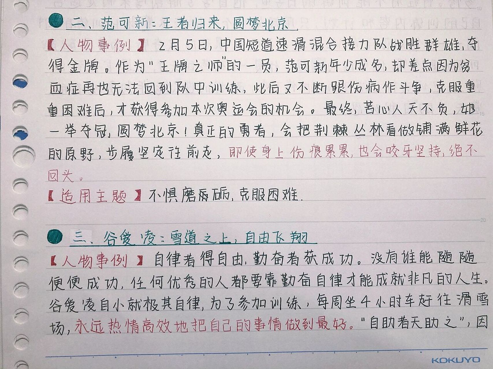 冬奥会人物事迹简短(冬奥会人物事迹简短英文)  第2张