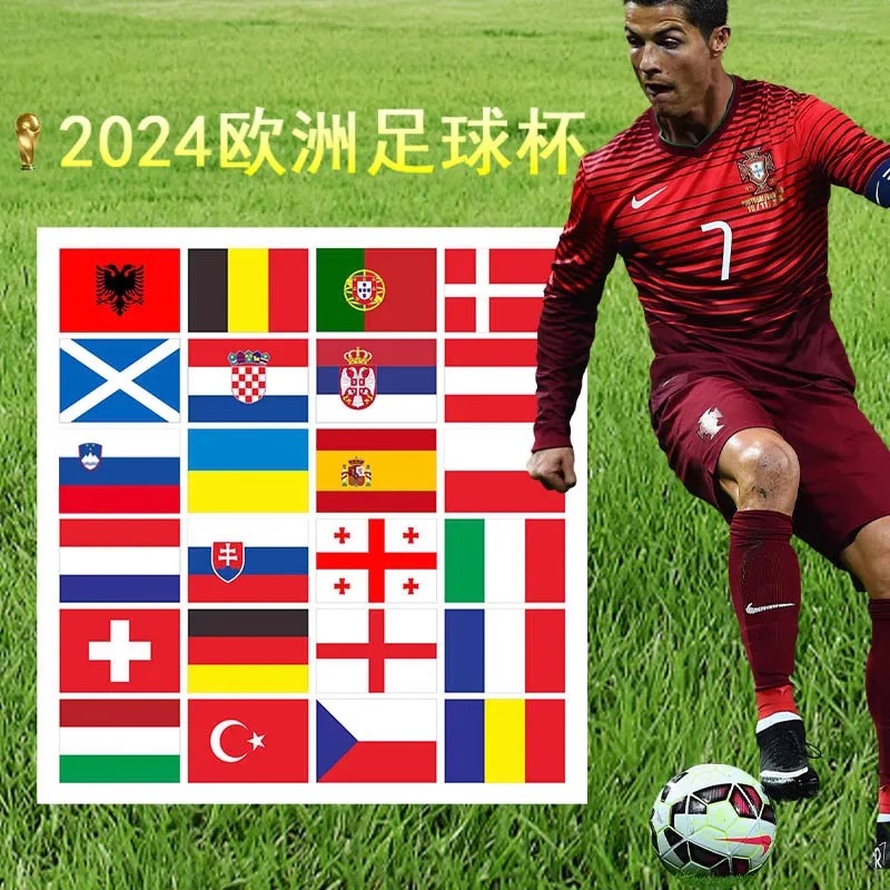 欧洲杯24强国旗(2020欧洲国家杯24强国旗)  第2张