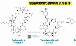 包含捷灵亚盐酸芬戈莫德不良反应的词条  第2张