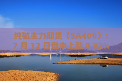 纯碱主力期货（SA409）：7 月 12 日盘中上涨 0.82%，报 1970 元  第1张