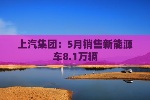 上汽集团：5月销售新能源车8.1万辆