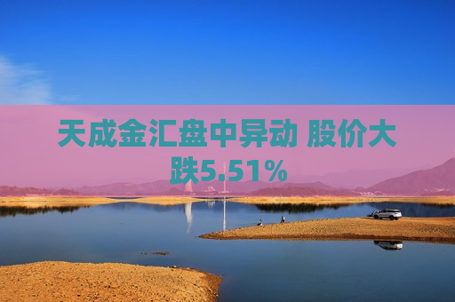 天成金汇盘中异动 股价大跌5.51%