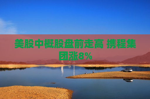 美股中概股盘前走高 携程集团涨8%