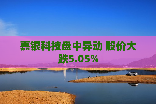 嘉银科技盘中异动 股价大跌5.05%