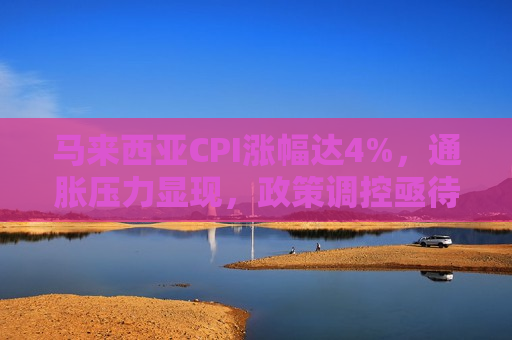 马来西亚CPI涨幅达4%，通胀压力显现，政策调控亟待加强，马来西亚通胀压力加剧，CPI涨幅达4%，政策调控需加强  第1张