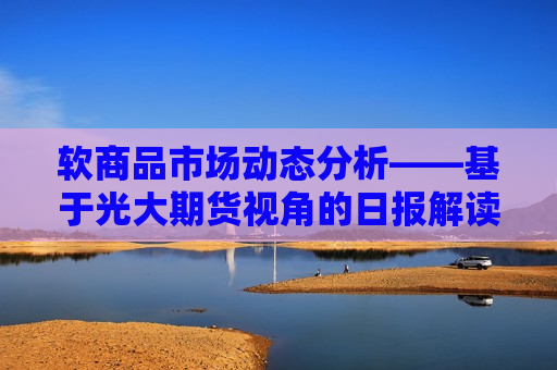 软商品市场动态分析——基于光大期货视角的日报解读（持续更新至XXXX年XX月XX日），软商品市场深度解析，光大期货视角的日报解读  第1张