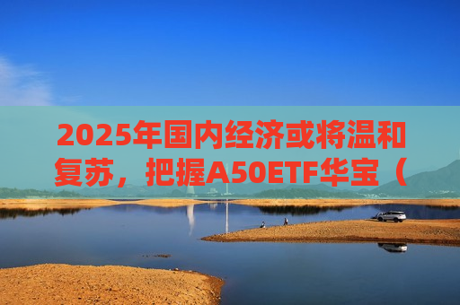 2025年国内经济或将温和复苏，把握A50ETF华宝（159596）低位配置机遇