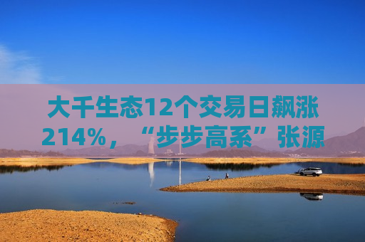 大千生态12个交易日飙涨214%，“步步高系”张源入主背后藏何资本谋划？