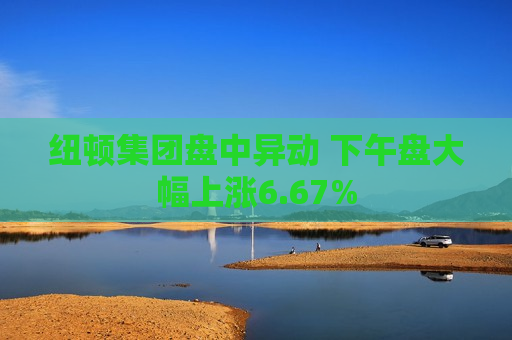 纽顿集团盘中异动 下午盘大幅上涨6.67%