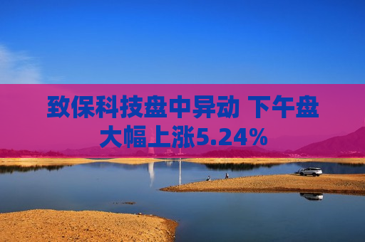 致保科技盘中异动 下午盘大幅上涨5.24%