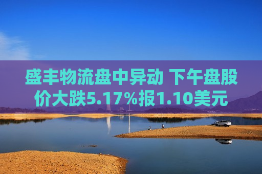 盛丰物流盘中异动 下午盘股价大跌5.17%报1.10美元