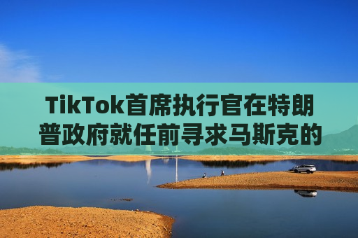 TikTok首席执行官在特朗普政府就任前寻求马斯克的意见