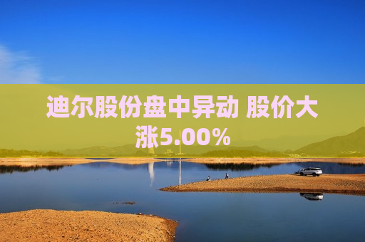 迪尔股份盘中异动 股价大涨5.00%