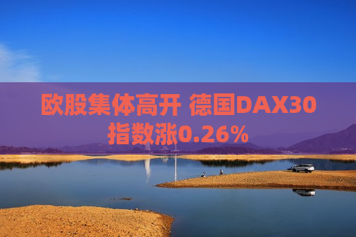 欧股集体高开 德国DAX30指数涨0.26%