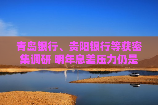 青岛银行、贵阳银行等获密集调研 明年息差压力仍是关注重点 多家银行开门红项目储备量和结构“曝光”