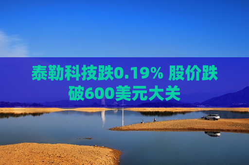 泰勒科技跌0.19% 股价跌破600美元大关