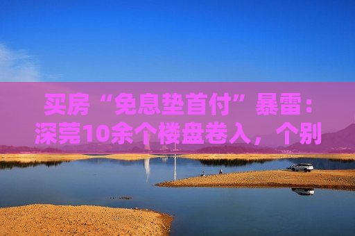 买房“免息垫首付”暴雷：深莞10余个楼盘卷入，个别涉千万元，部分房源已被住建部门锁定