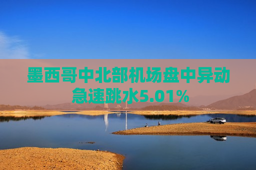 墨西哥中北部机场盘中异动 急速跳水5.01%