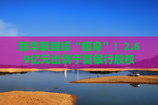 新华联继续“瘦身”！2.69亿元出清宁夏银行股权