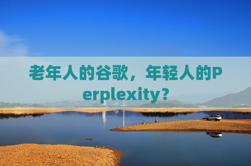 老年人的谷歌，年轻人的Perplexity？