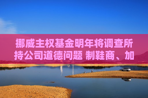 挪威主权基金明年将调查所持公司道德问题 制鞋商、加密公司、博彩运营商或面临撤资