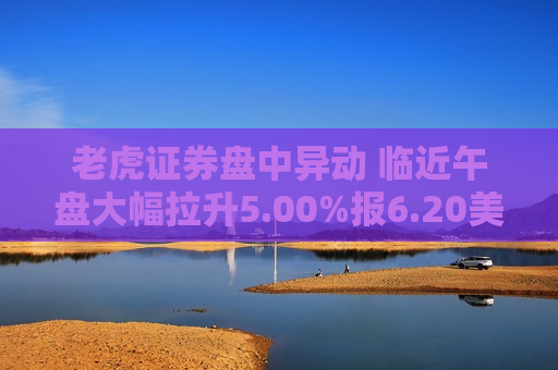 老虎证券盘中异动 临近午盘大幅拉升5.00%报6.20美元  第1张