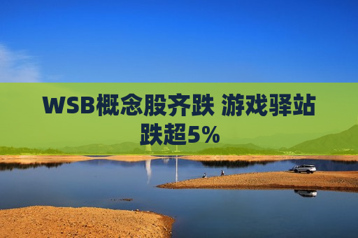 WSB概念股齐跌 游戏驿站跌超5%  第1张