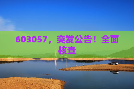 603057，突发公告！全面核查