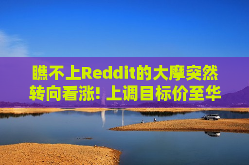 瞧不上Reddit的大摩突然转向看涨! 上调目标价至华尔街之巅  第1张