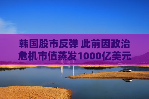 韩国股市反弹 此前因政治危机市值蒸发1000亿美元  第1张