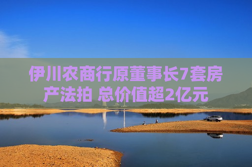 伊川农商行原董事长7套房产法拍 总价值超2亿元