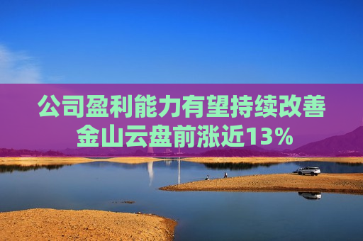 公司盈利能力有望持续改善 金山云盘前涨近13%  第1张