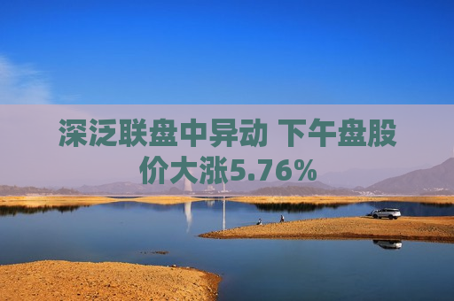 深泛联盘中异动 下午盘股价大涨5.76%  第1张