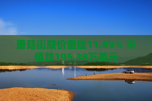 蘑菇街股价重挫11.89% 市值跌195.38万美元