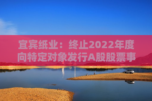 宜宾纸业：终止2022年度向特定对象发行A股股票事项