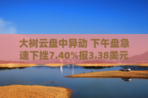 大树云盘中异动 下午盘急速下挫7.40%报3.38美元