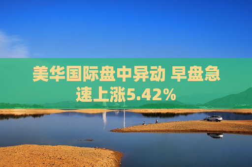 美华国际盘中异动 早盘急速上涨5.42%  第1张