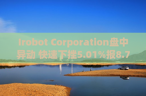 Irobot Corporation盘中异动 快速下挫5.01%报8.73美元  第1张