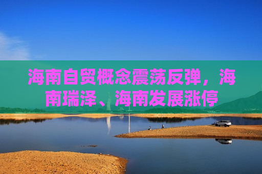 海南自贸概念震荡反弹，海南瑞泽、海南发展涨停