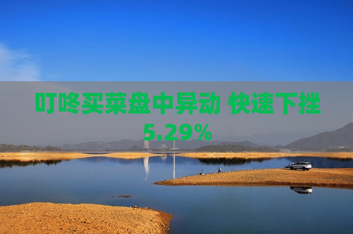 叮咚买菜盘中异动 快速下挫5.29%