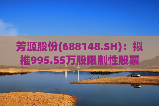 芳源股份(688148.SH)：拟推995.55万股限制性股票激励计划