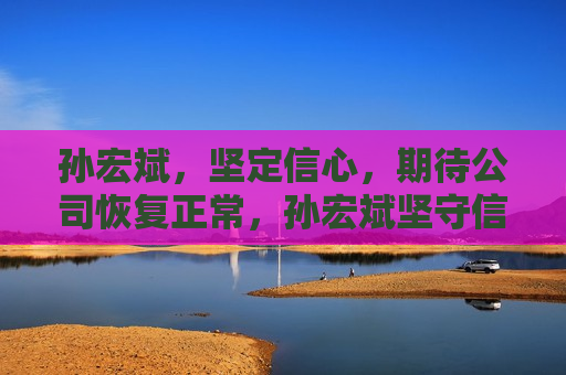 孙宏斌，坚定信心，期待公司恢复正常，孙宏斌坚守信心，期待公司重回正轨  第1张