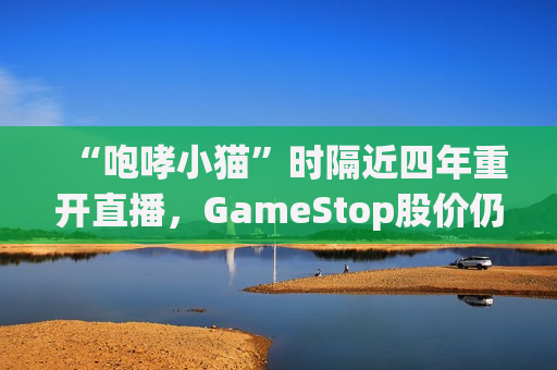 “咆哮小猫”时隔近四年重开直播，GameStop股价仍跌近40%  第1张