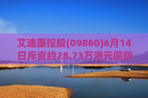 艾迪康控股(09860)6月14日斥资约28.73万港元回购3.5万股  第1张